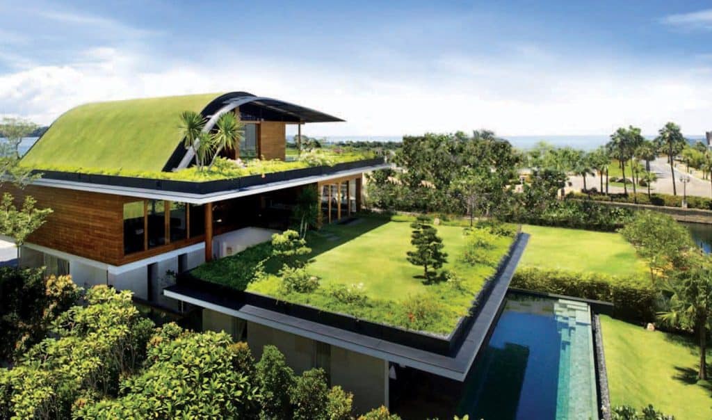 green roofing